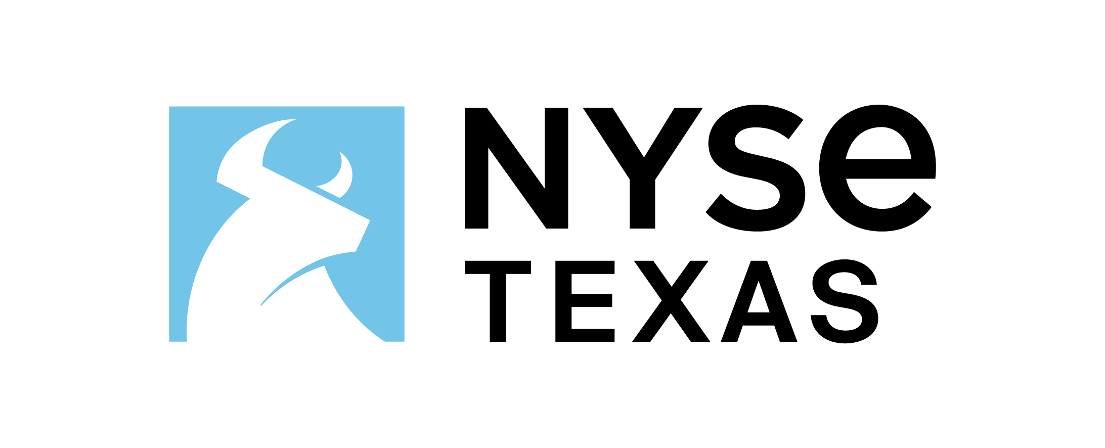 NYSE Texas Bull Logo